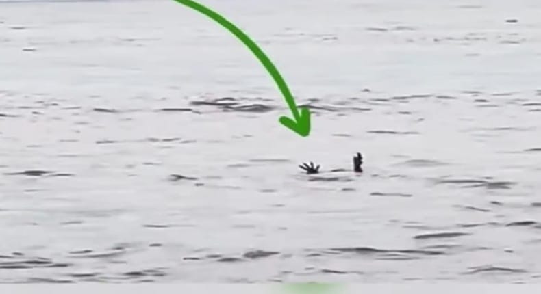 viral seekor buaya pura-pura tenggelam dan memanfaatkan taktik cerdik  disebut mengelabui manusia
