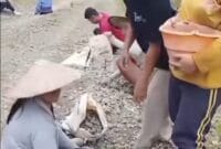 Dok kegiatan gotong royong yang melibatkan partisipasi warga, baik pria maupun wanita.