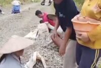 Dok kegiatan gotong royong yang melibatkan partisipasi warga, baik pria maupun wanita.