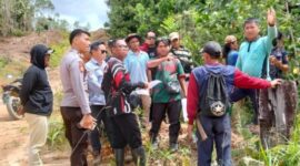 Aksi protes ini berujung pada peninjauan lapangan yang dilakukan oleh Pemerintah Desa Kujau, Kecamatan Betayau